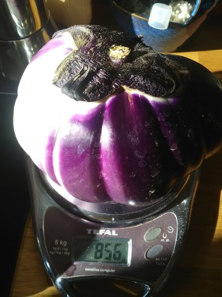 aubergine plus petite.jpg