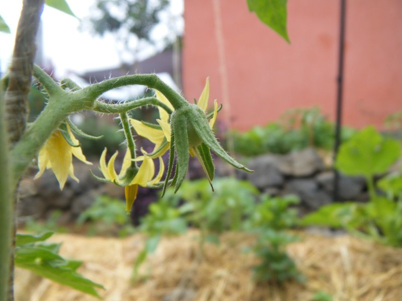 DSCF0041.JPG