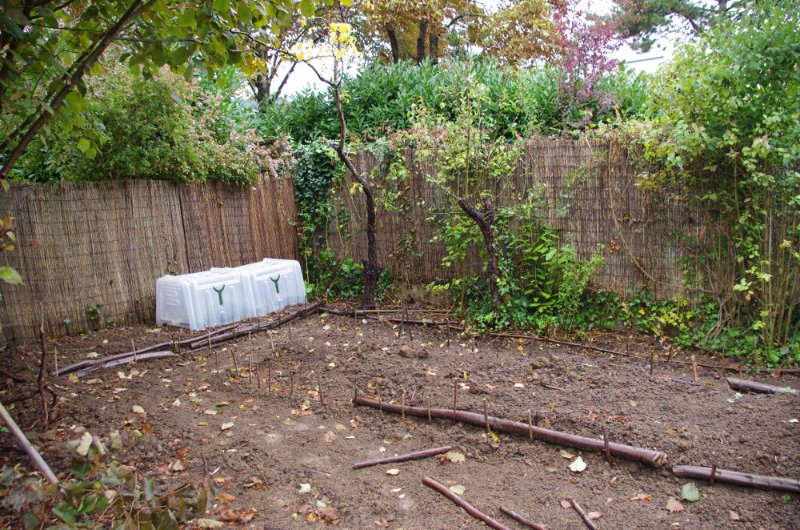 Fond du jardin à gauche