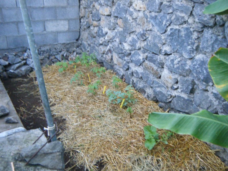 DSCF1899.JPG