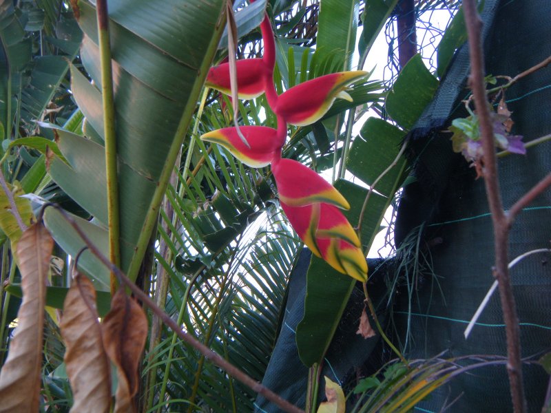 DSCF1906.JPG