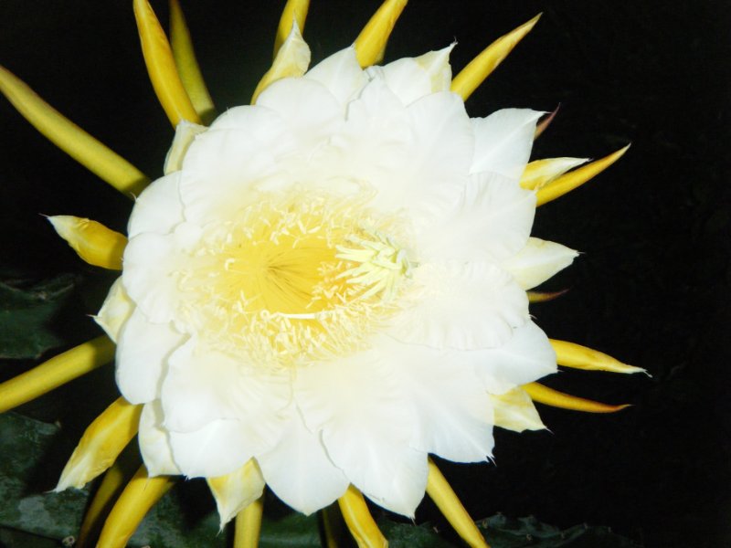 DSCF9576.jpg
