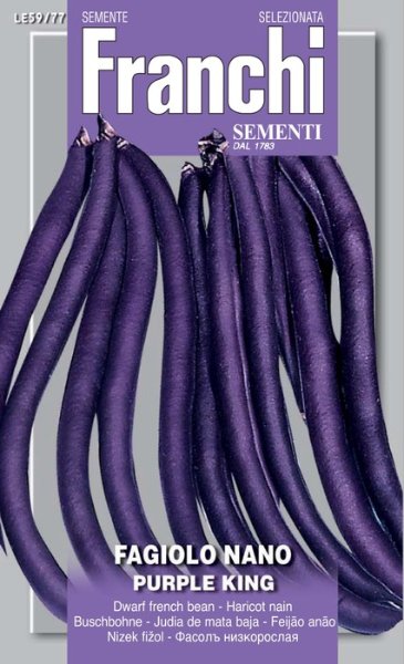 Fagiolo nano Purple Kink.jpg