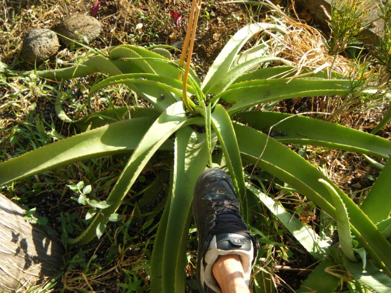 DSCF1518.jpg