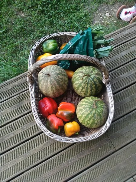 panier du jour 29-10-19.jpg