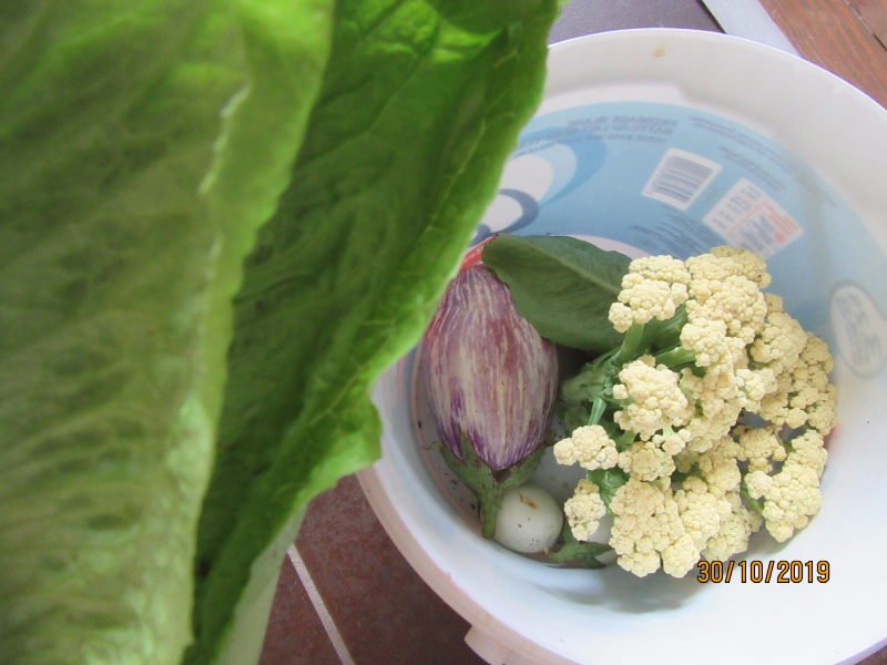 aub choux fleur salade.jpg