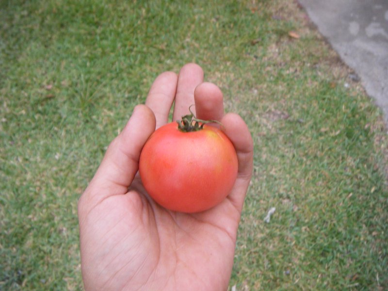 DSCF2091.JPG