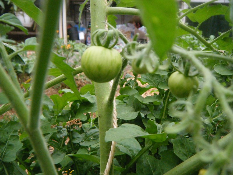 DSCF2098.JPG