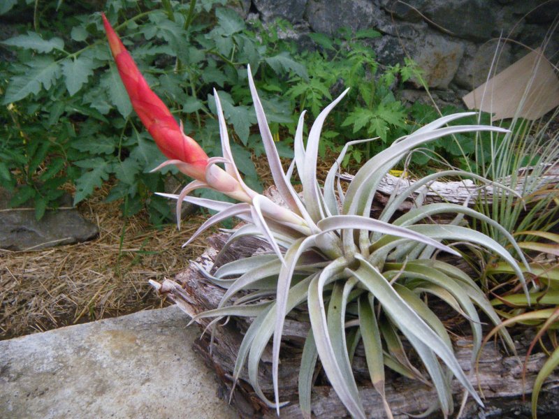 DSCF2103.JPG