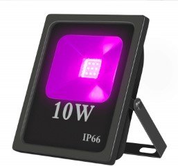 UV 10 W (A scelta).jpg