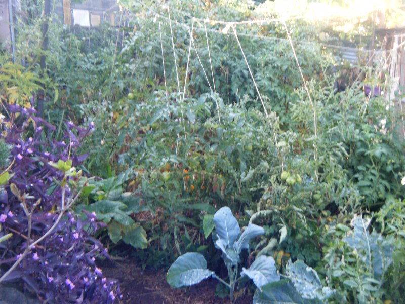 DSCF2138.JPG