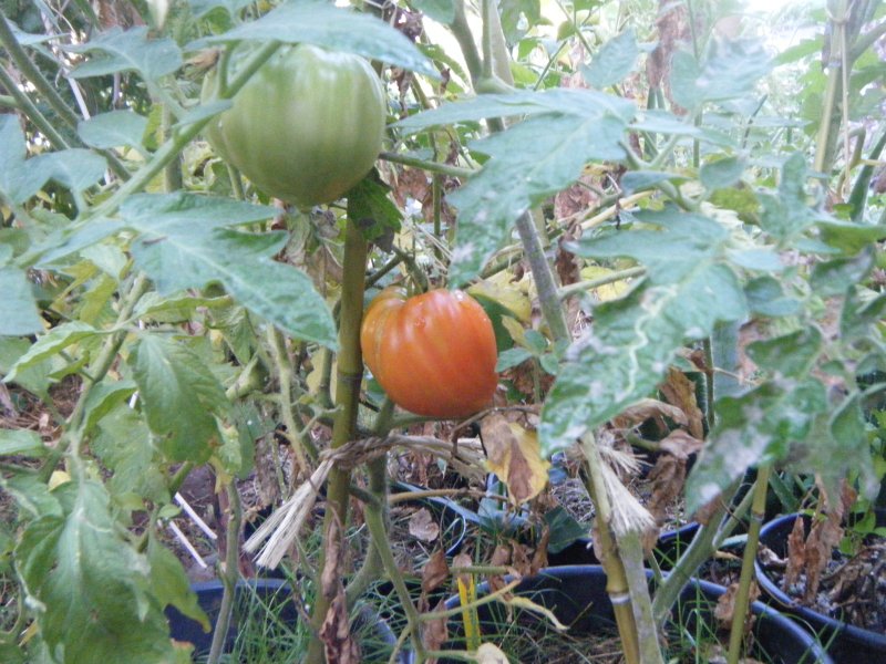 DSCF2119.JPG