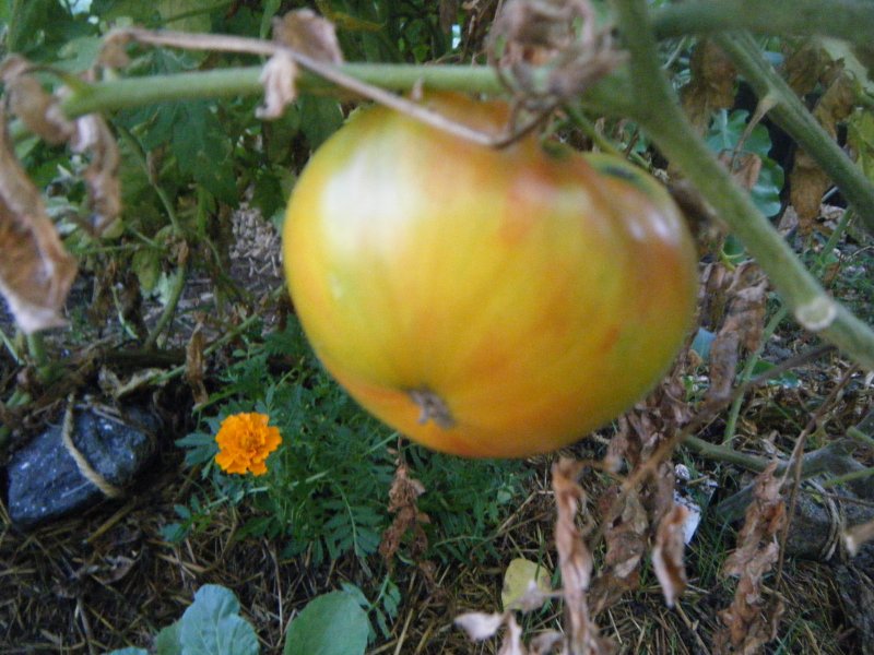 DSCF2121.JPG