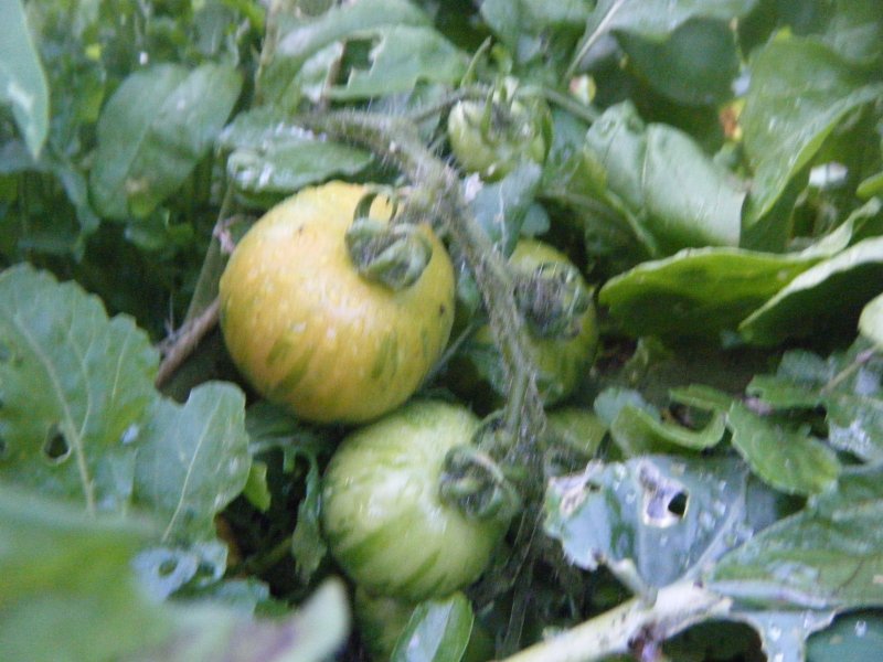 DSCF2122.JPG