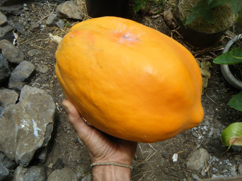 DSCF2115.JPG