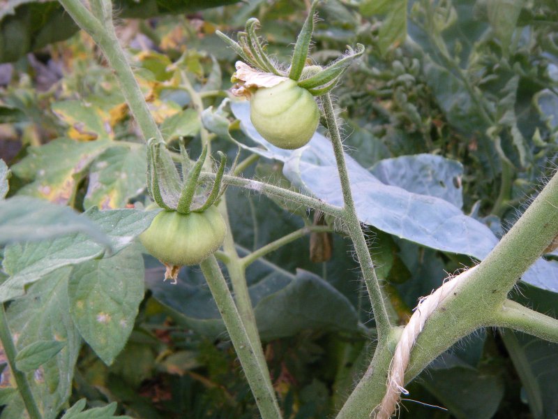 DSCF2105.JPG