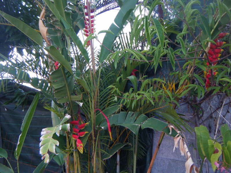 DSCF2132.JPG