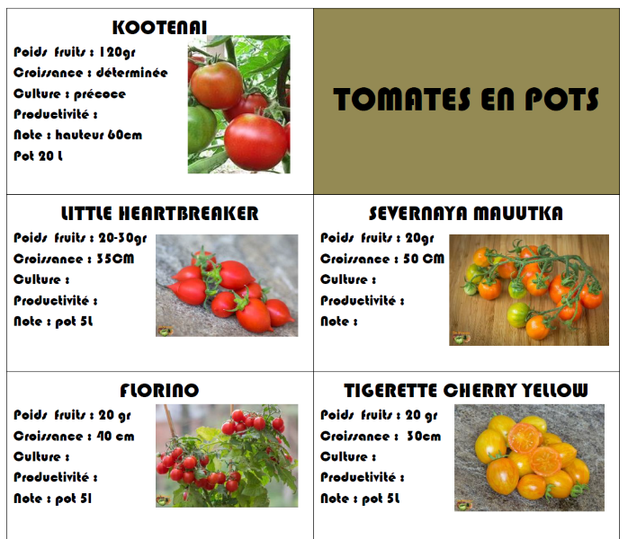 listimg3 (Petit).png