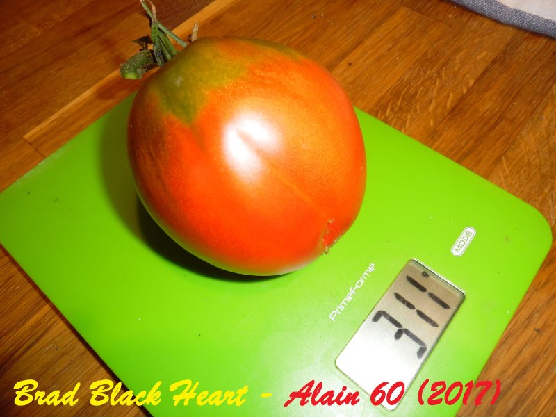 Brad Black Heart-5+.jpg