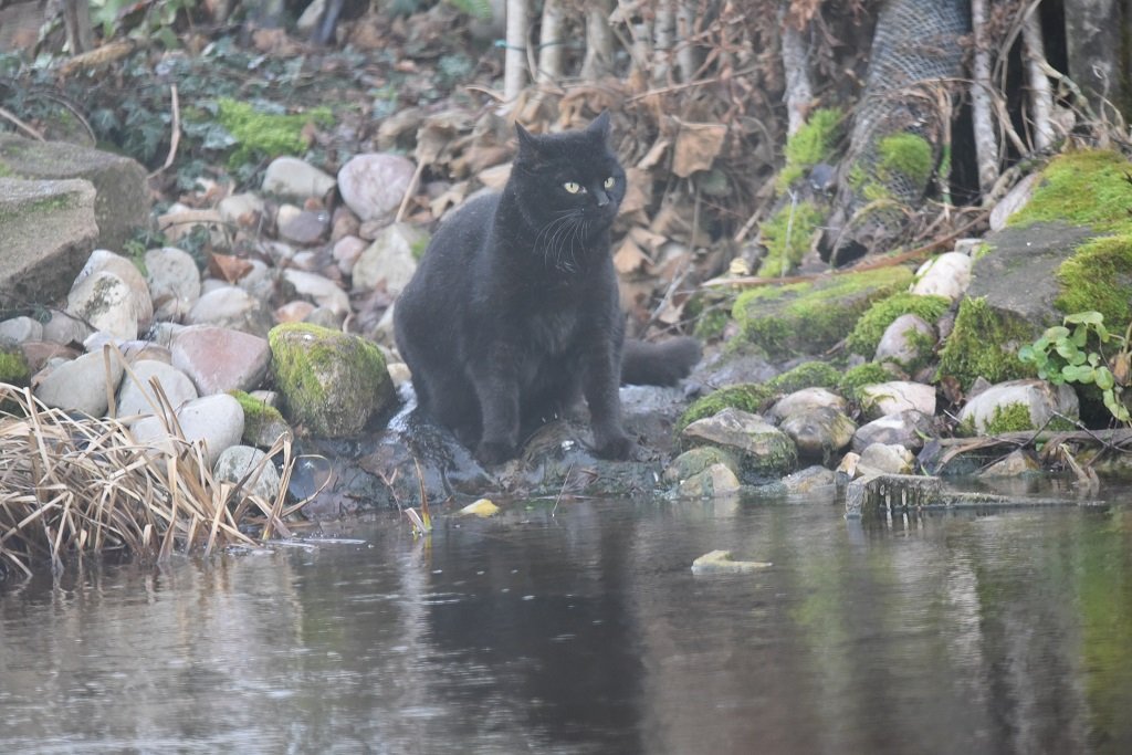 DSC_9255.JPG