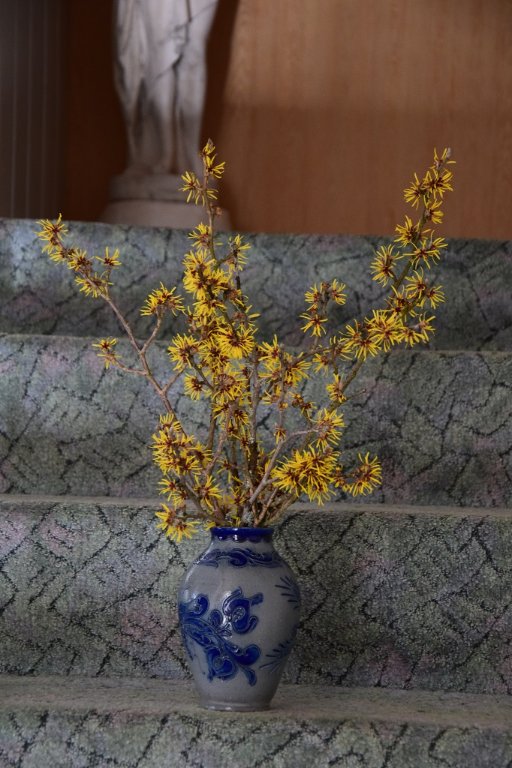 DSC_0499.JPG