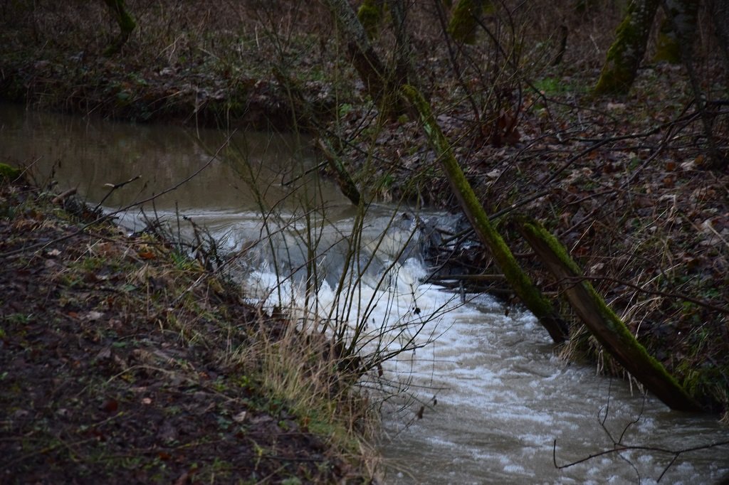 DSC_0004.JPG