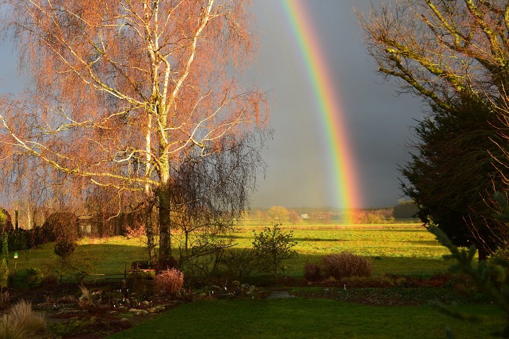 DSC_0042.JPG