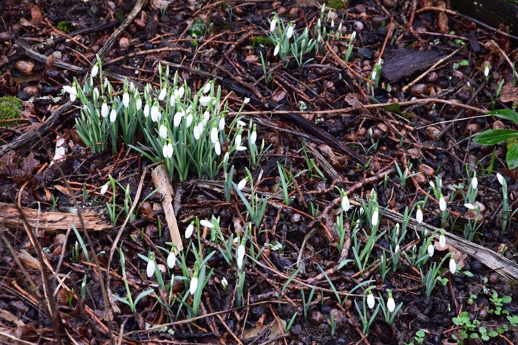 DSC_0071.JPG