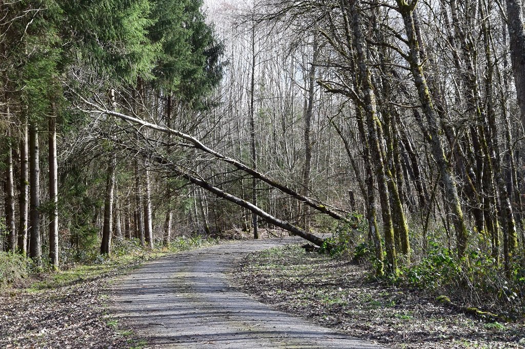 DSC_0079.JPG