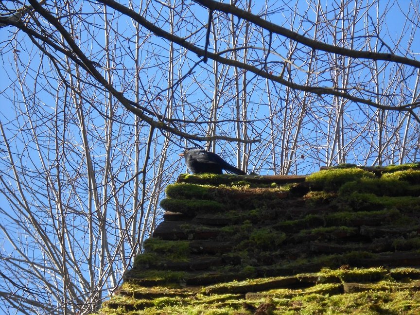 DSCN9690.JPG