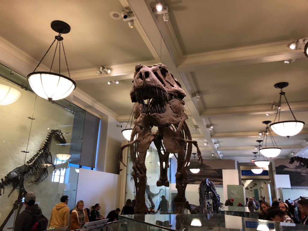 Tyrannosaurus rex