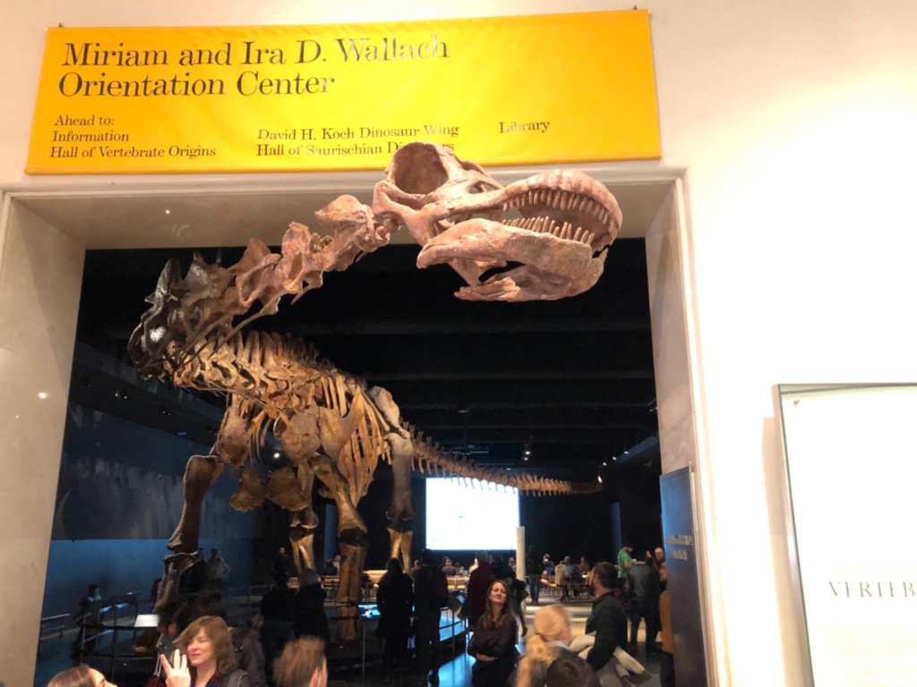 Titanosaure (le plus grand squelette de dinosaure retrouva ce jour)