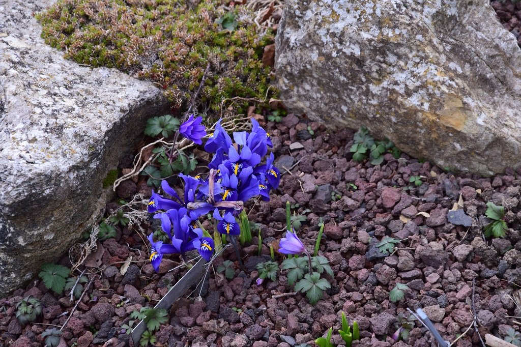DSC_0659.JPG