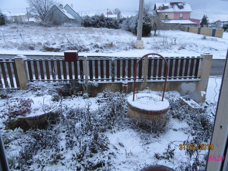 31jan neige.jpg