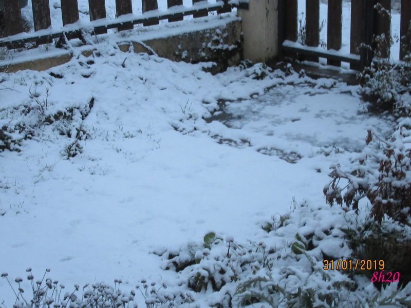 neige31jan.jpg