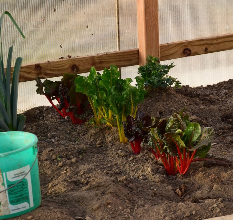 DSC_0681.JPG
