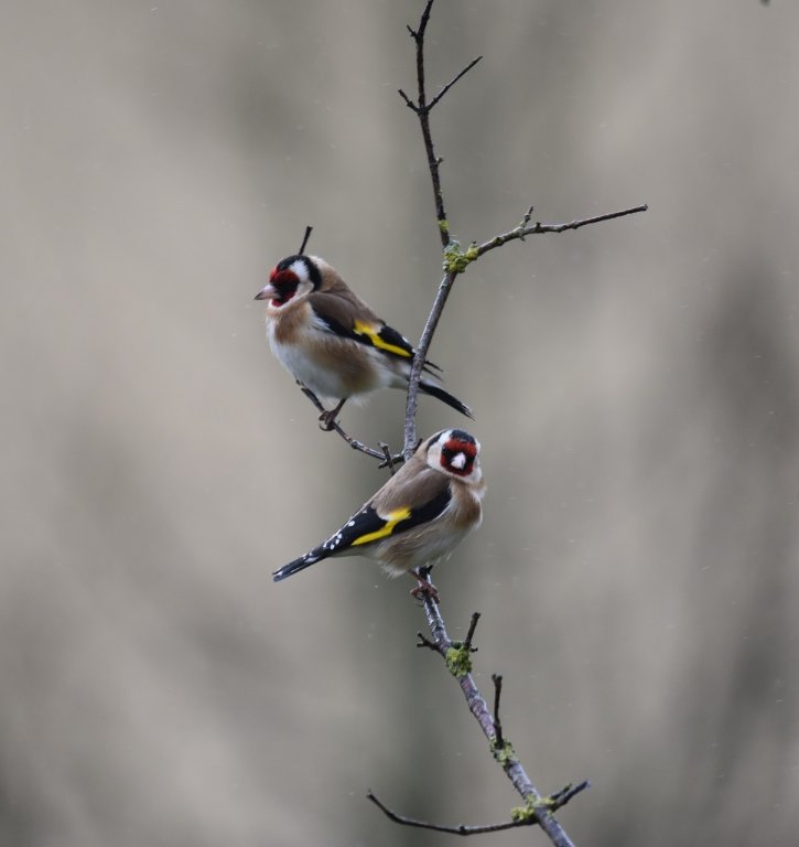 DSC_2056.JPG