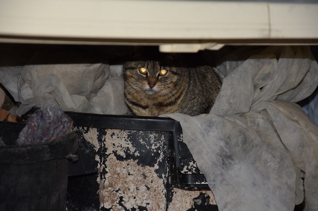 DSC_0068.JPG
