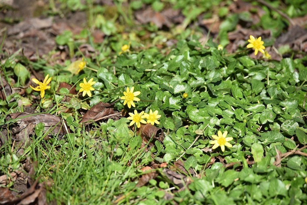 DSC_8318.JPG