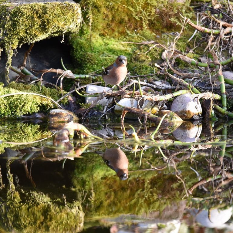 DSC_2818.JPG
