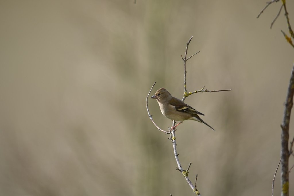DSC_3282.JPG
