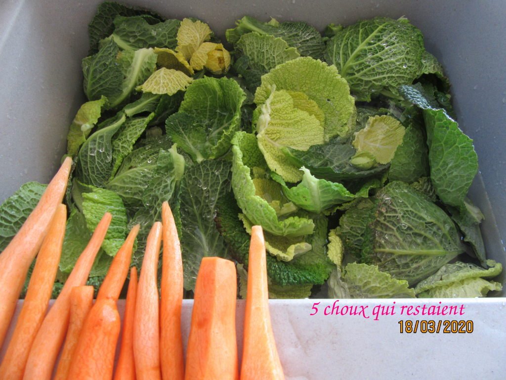 choux carottes.jpg
