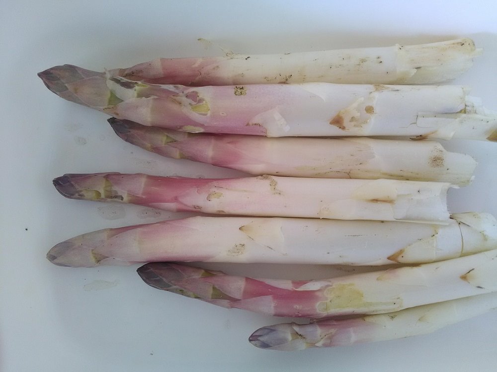 asperges.jpg