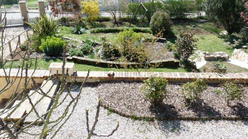 jardin du devant mars 2020 - rogné (Personnalisé).JPG