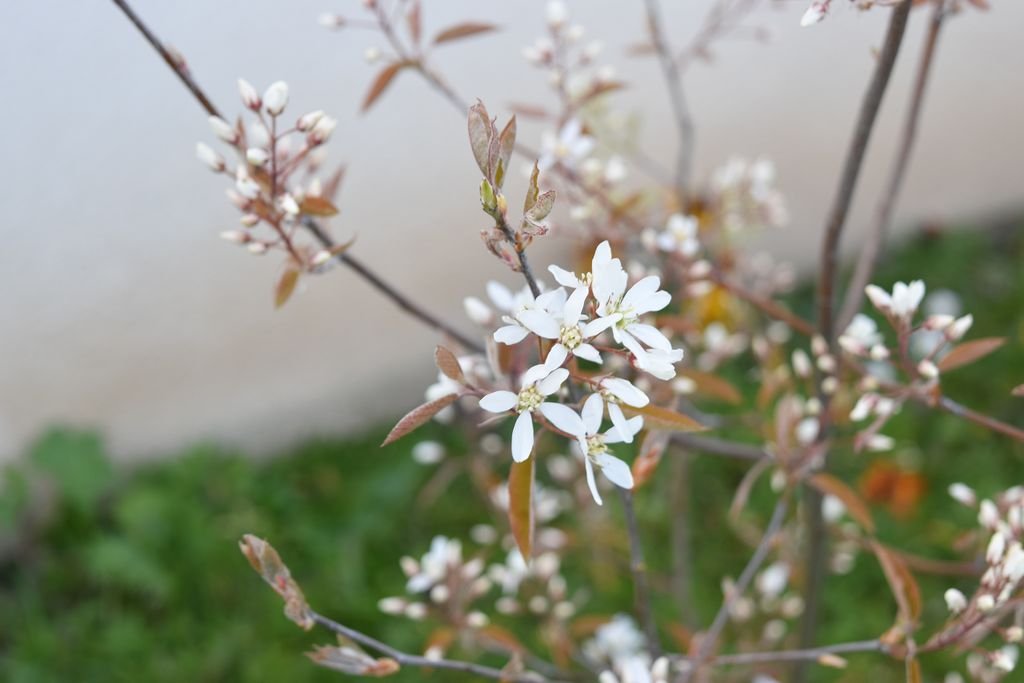 DSC_0760_1.JPG