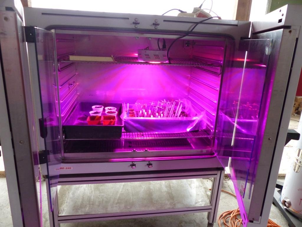 intérieur étuve avec leds.JPG