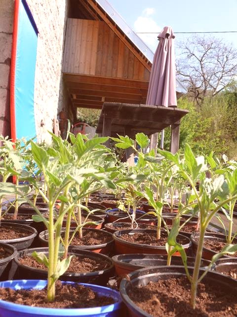P1120008b.JPG