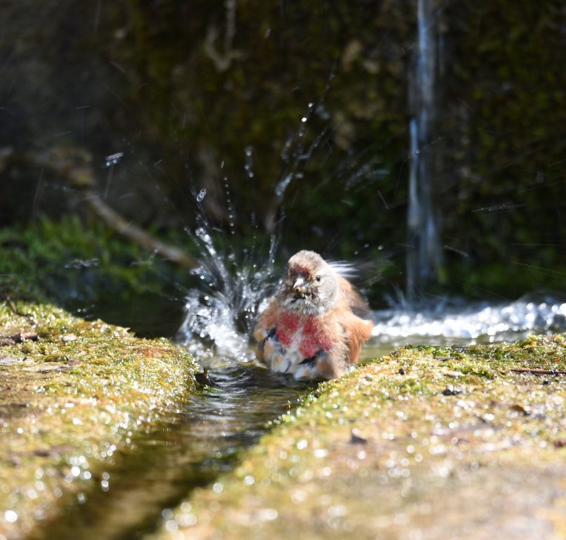 DSC_5698.JPG
