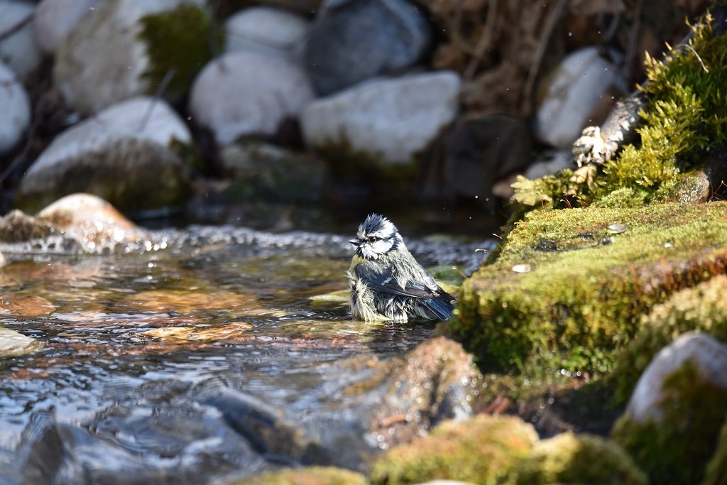 DSC_5758.JPG