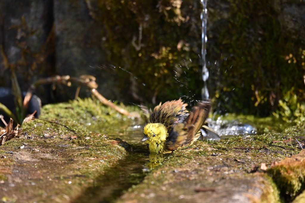 DSC_5864.JPG